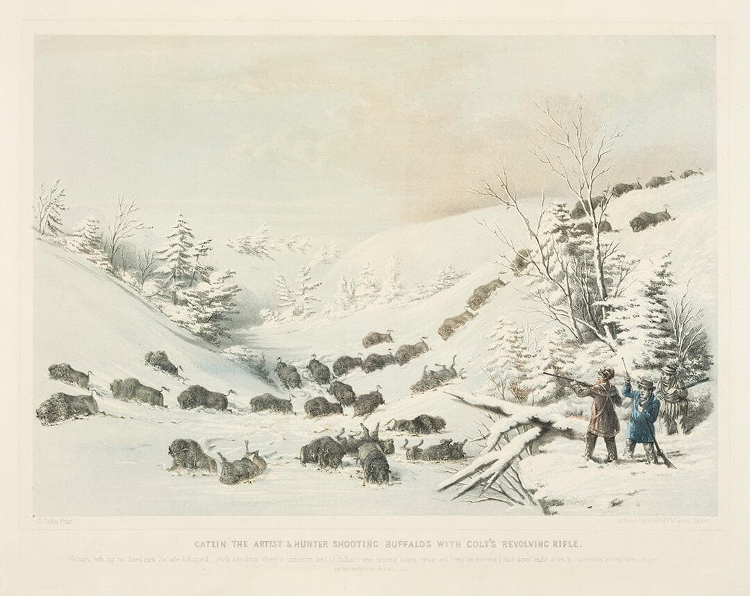Catlin the Artist & Hunter Shooting Buffalos with Colt's Revolving Rifle