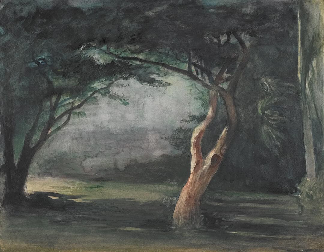 Trees in Moonlight, Honolulu, Hawaii