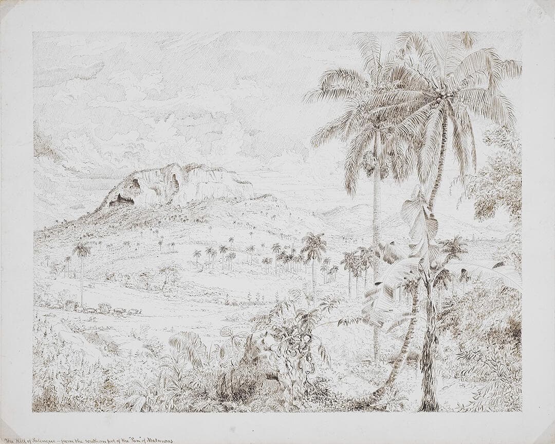 The Hills of Palenque-From the Southern Foot of the Pan of Matanzas