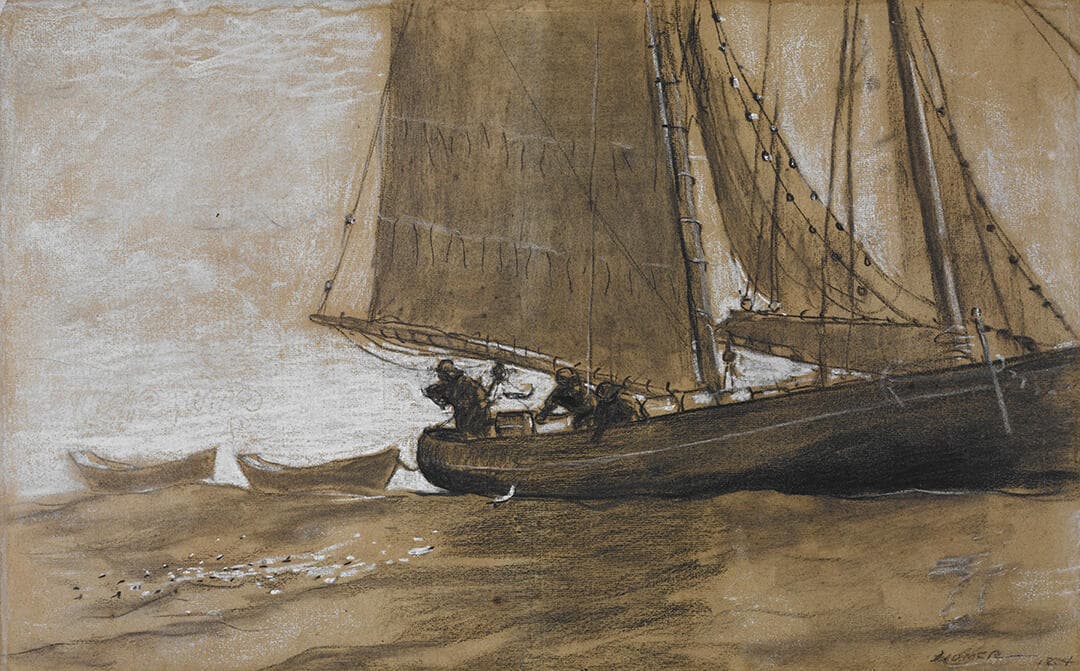 Mackerel Fishing