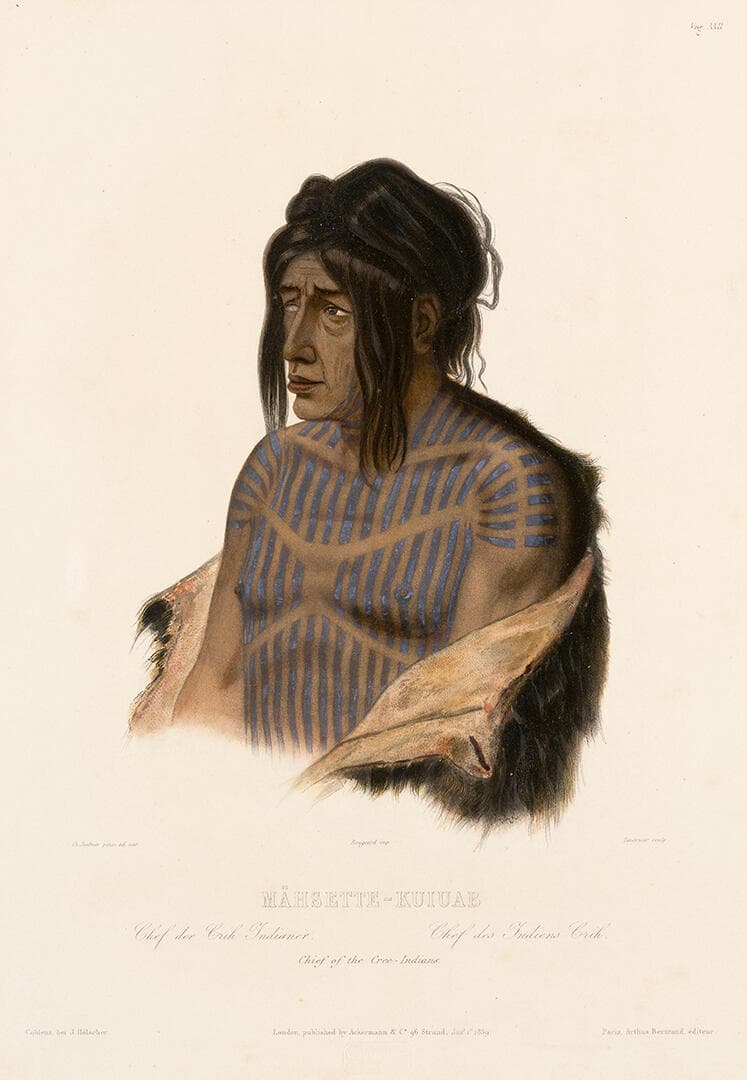Mähsette-Kuiuab, Chief of the Cree Indians