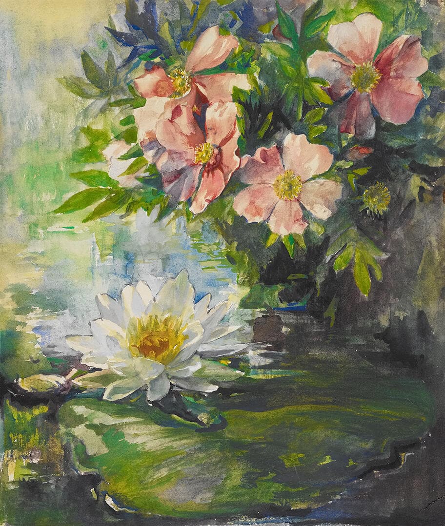 Wild Roses and Water Lily - Study of Sunlight
