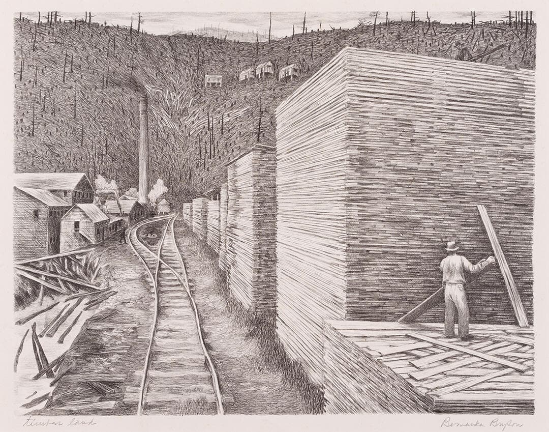 Cut-Over Land (Timber Lands)