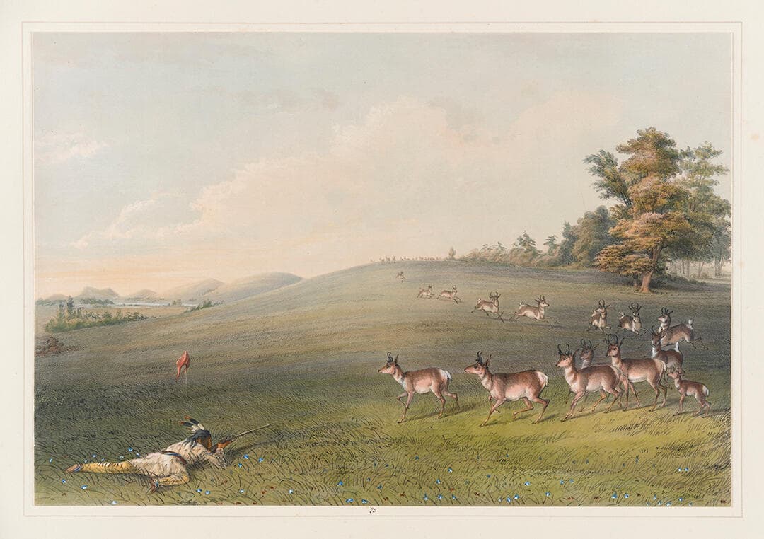 Antelope Shooting