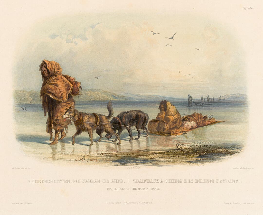 Dog-Sledges of the Mandan Indians