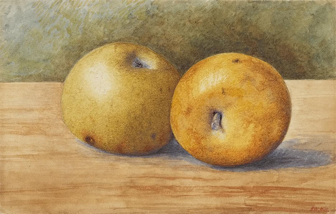 Two Apples
