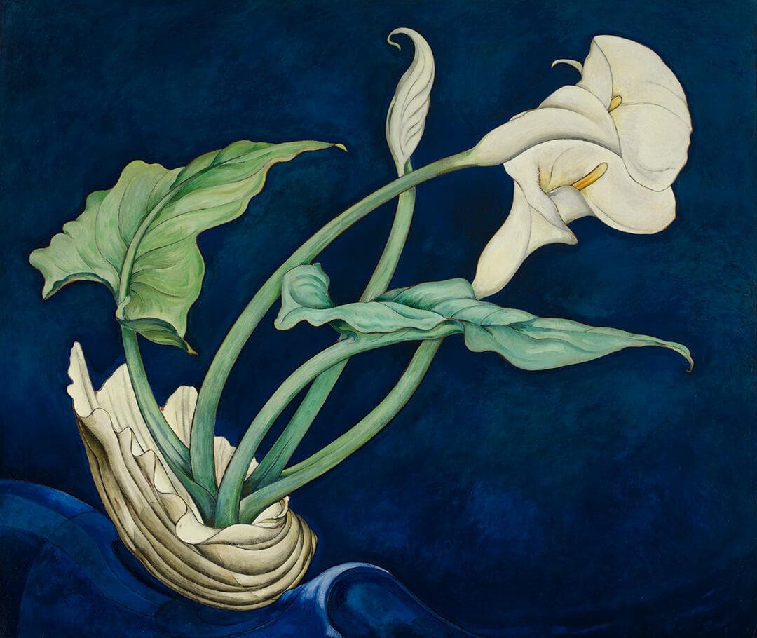 Calla Lilies (Bert Savoy)