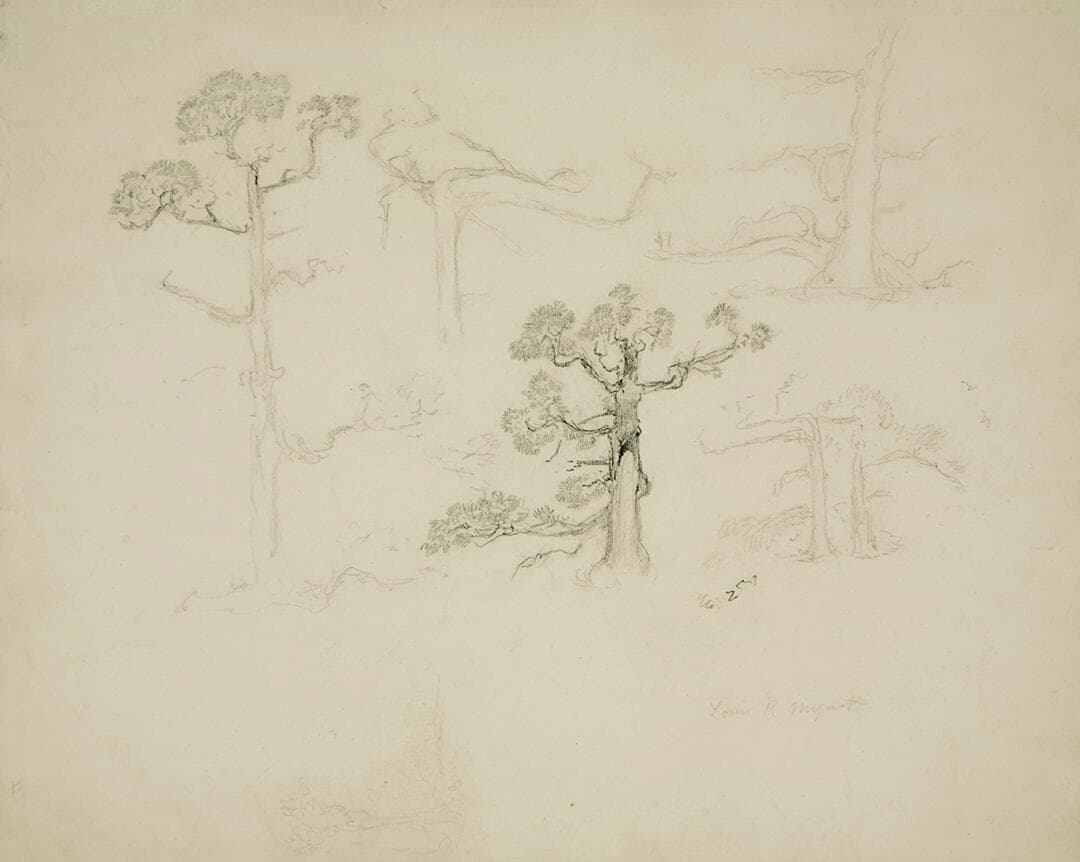 Tree Studies