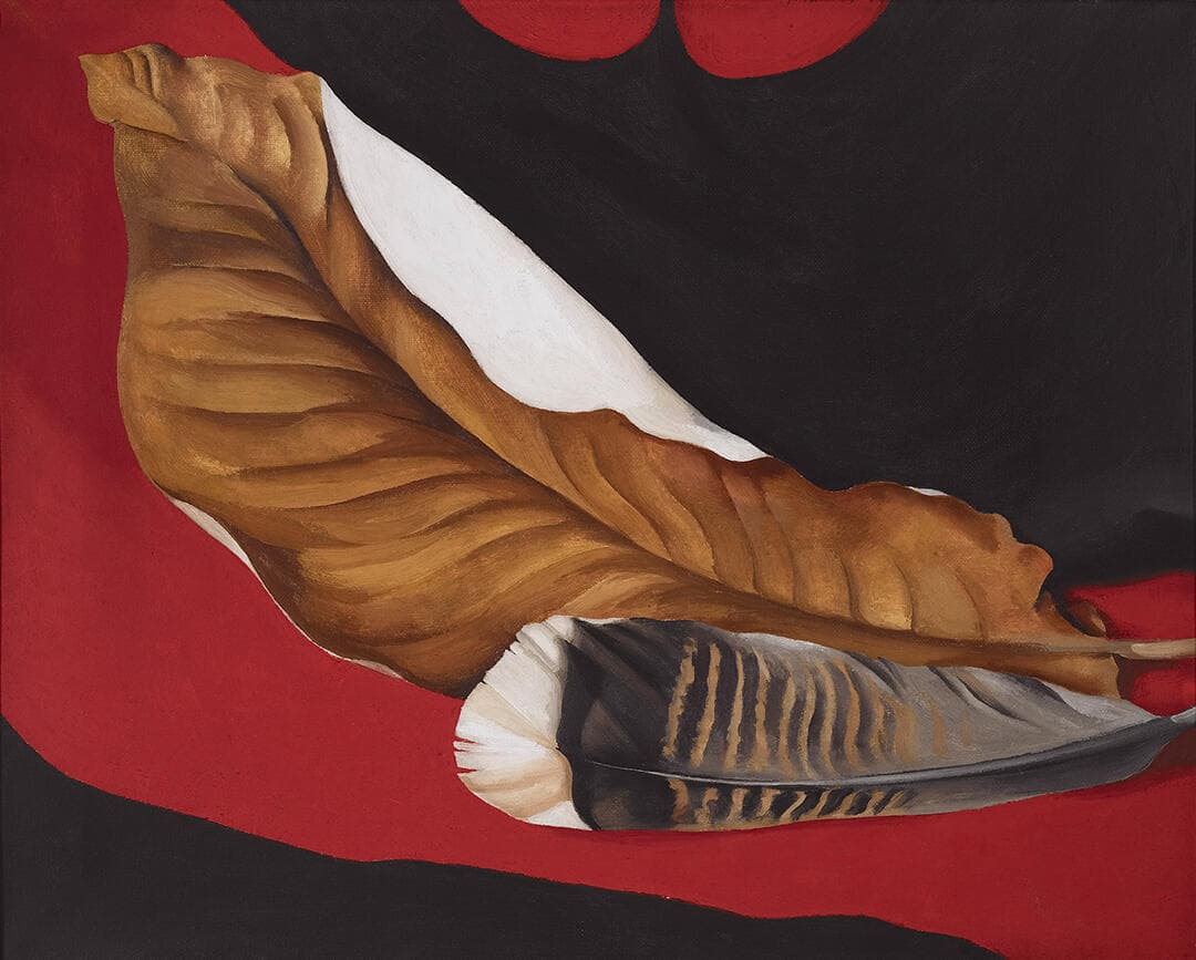 Feather and Brown Leaf