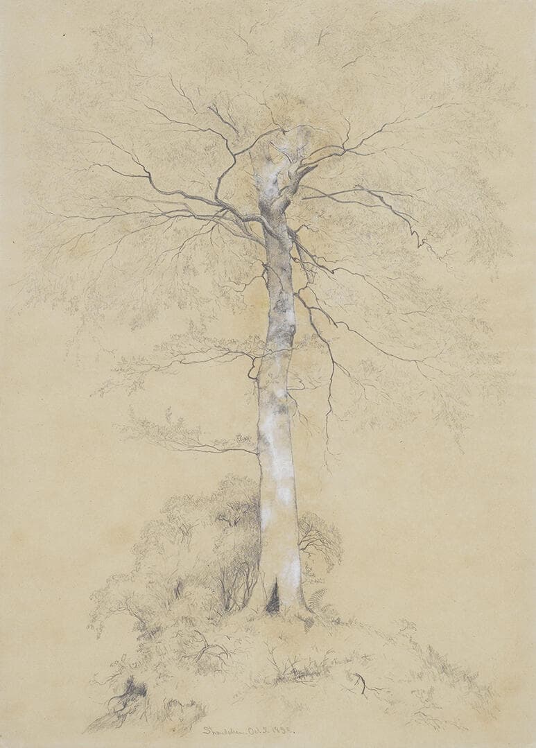 Shandanken Oct 5, 1858