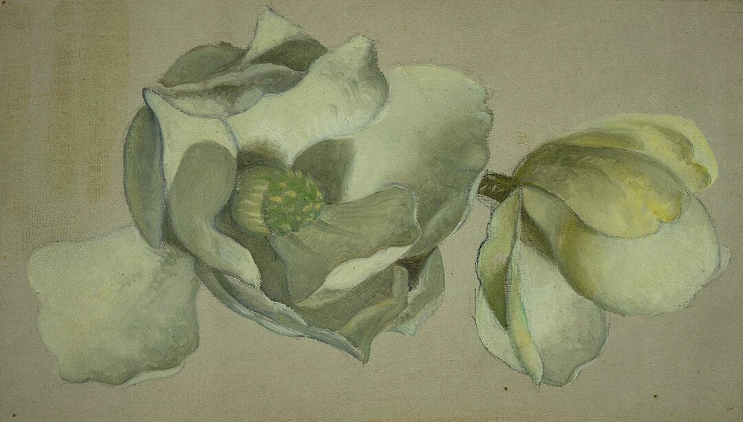 Study of Two Magnolia Blossoms