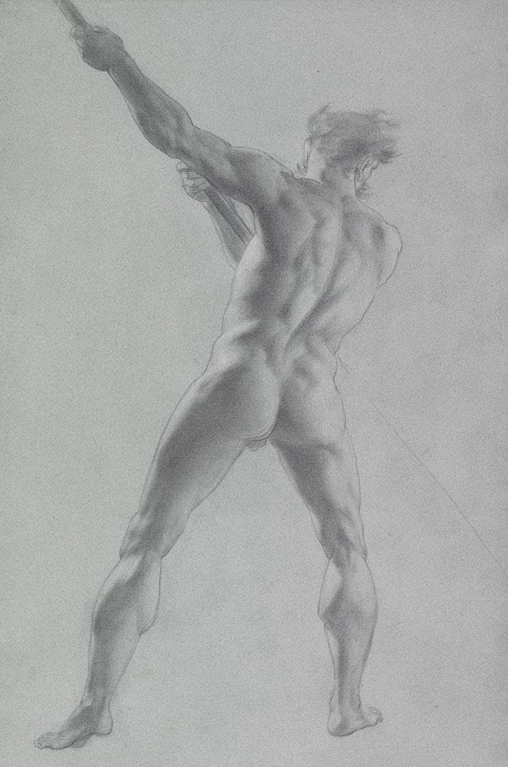 Male Nude from Behind