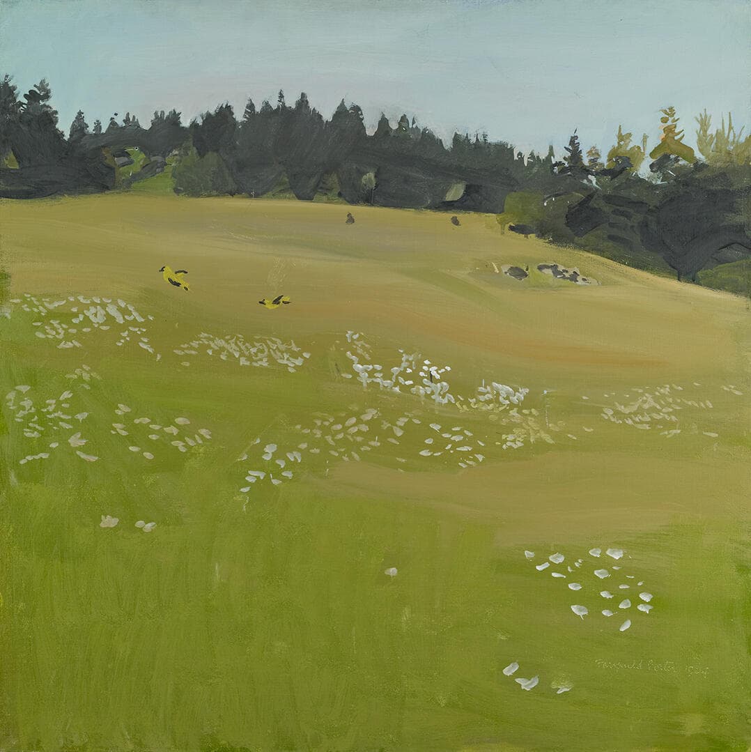 Meadow with Goldfinches
