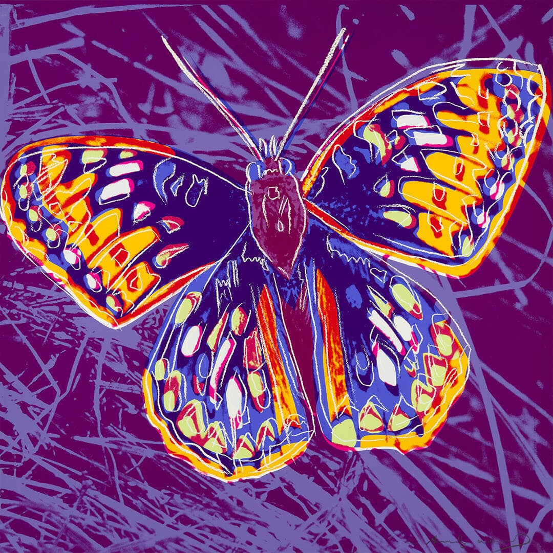 San Francisco Silverspot