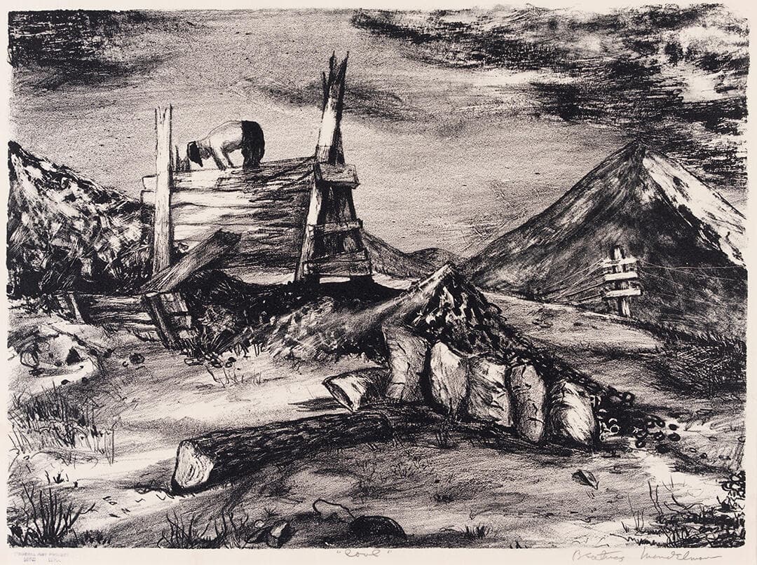 Coal
