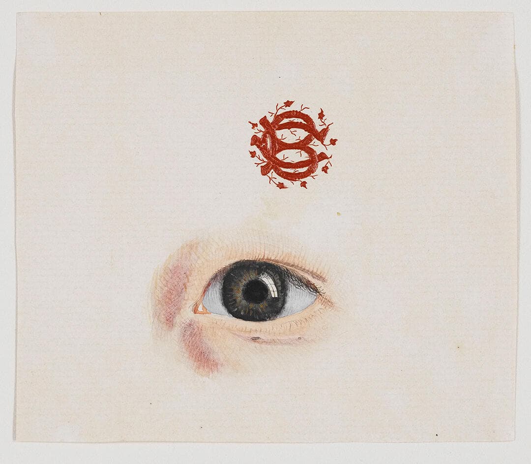 Eye