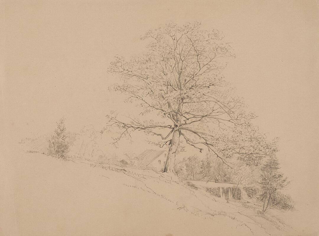 Milldam, House and Tree