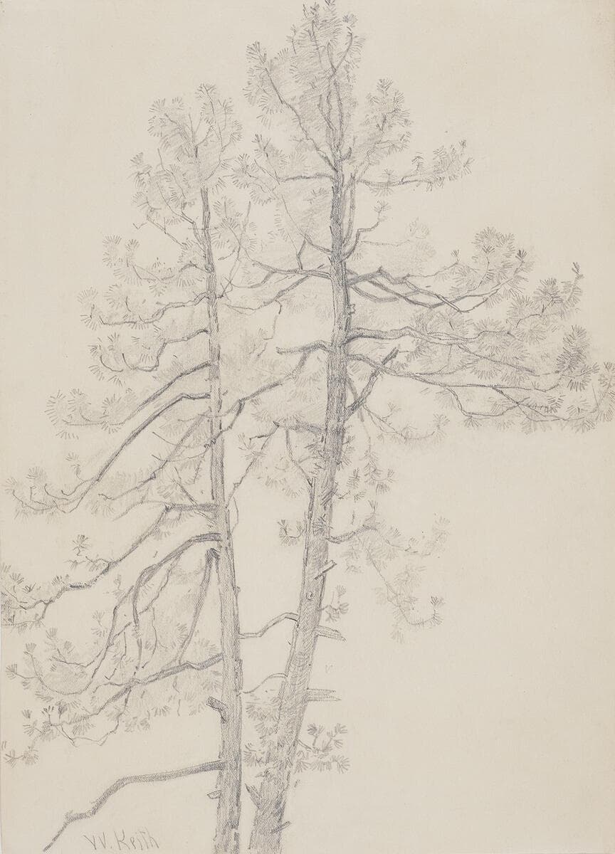 Tree Study