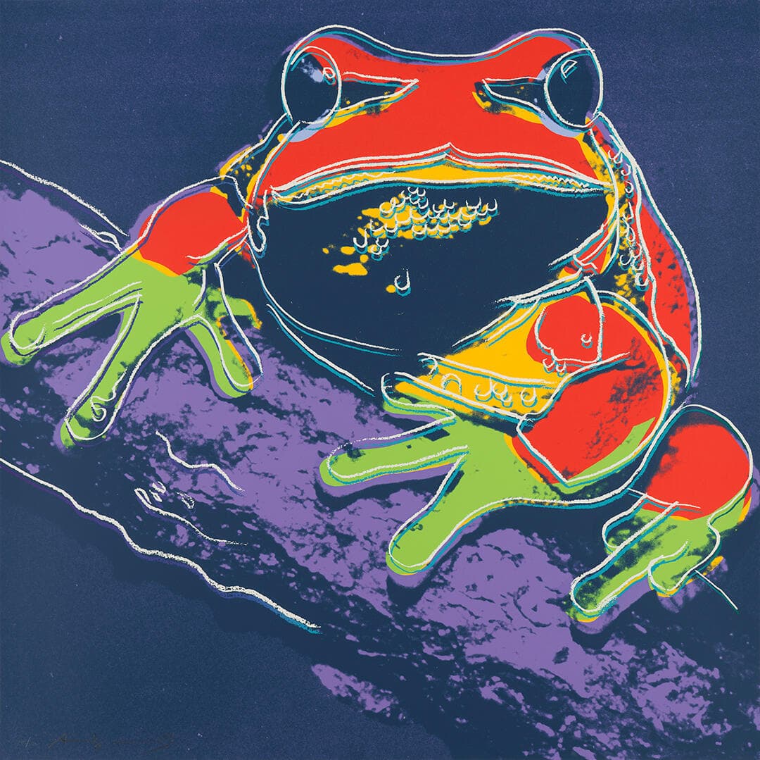 Pine Barrens Tree Frog