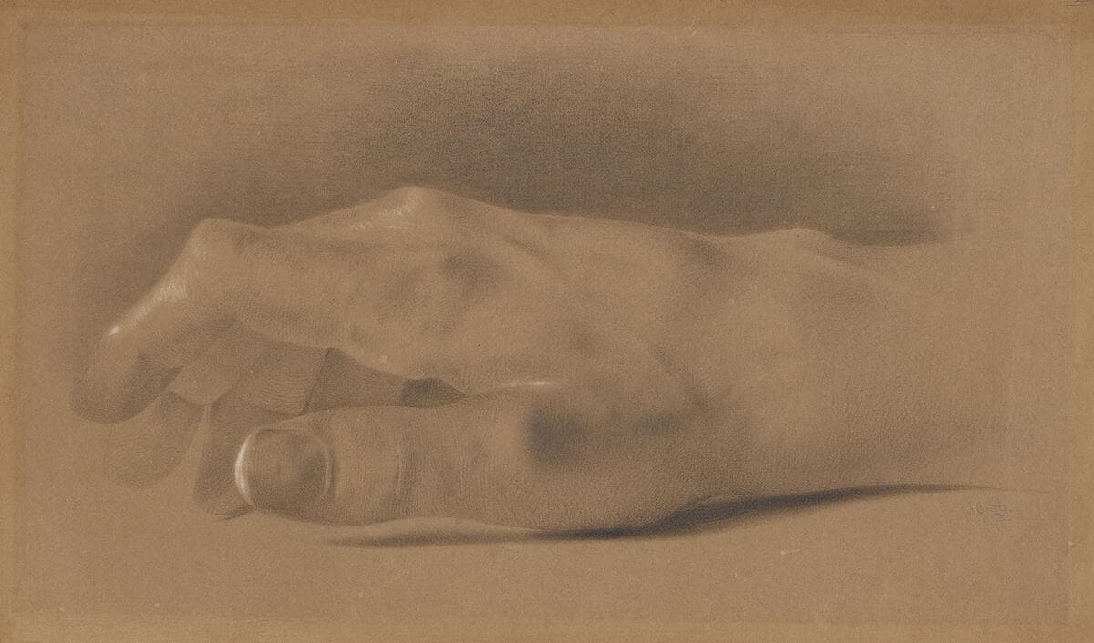 Study of a Right Hand