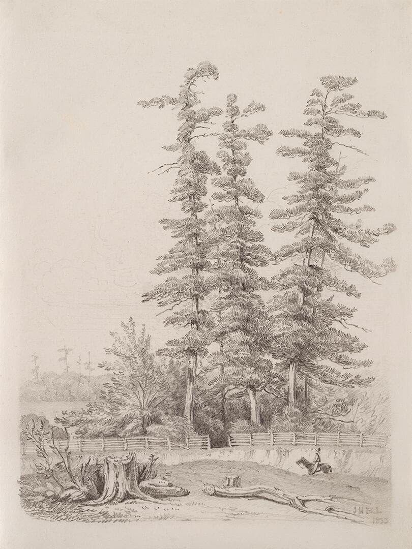 Saratoga