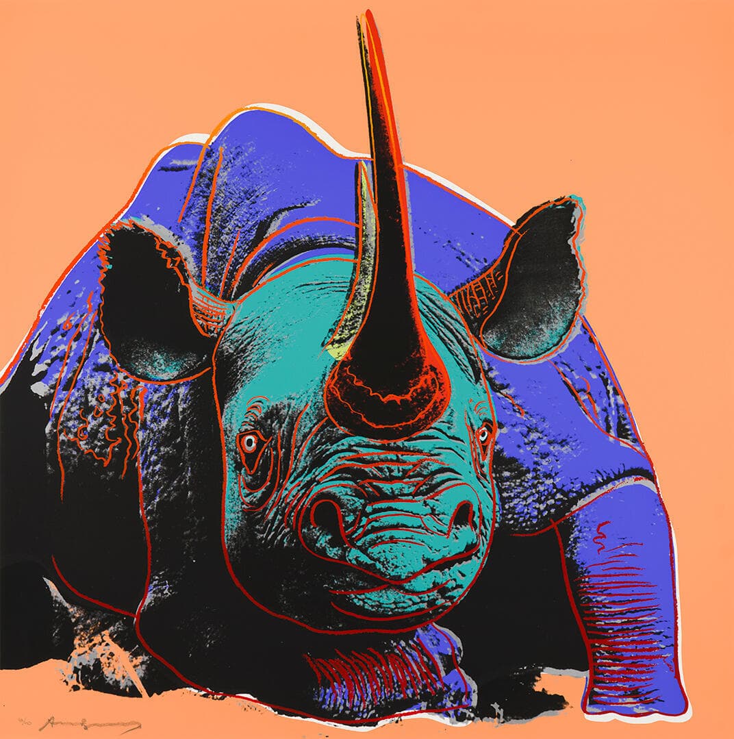 Black Rhinoceros