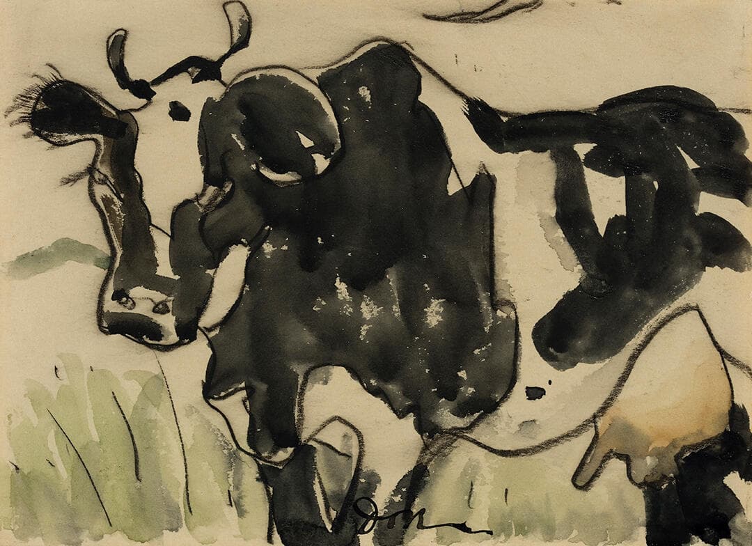 Cow