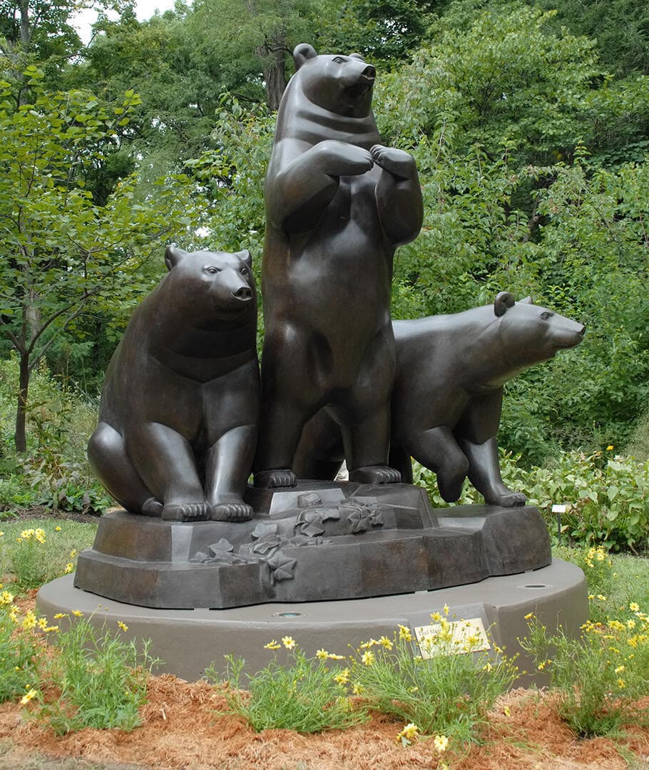 Group of Bears