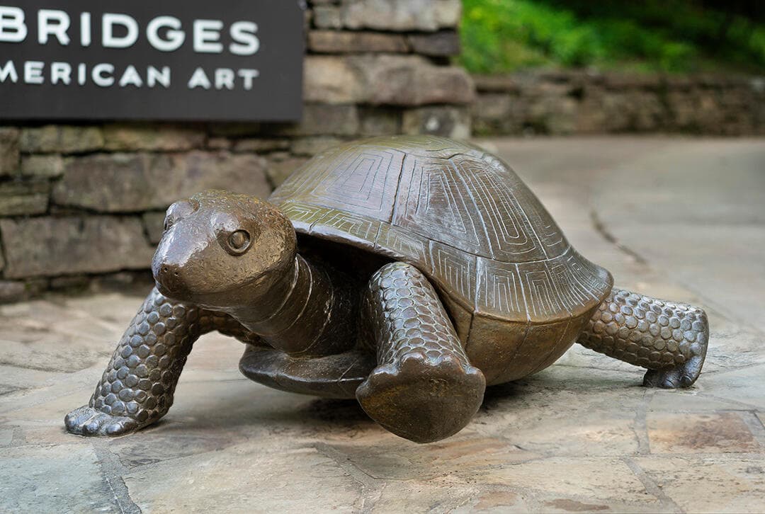Tortoise and Hare