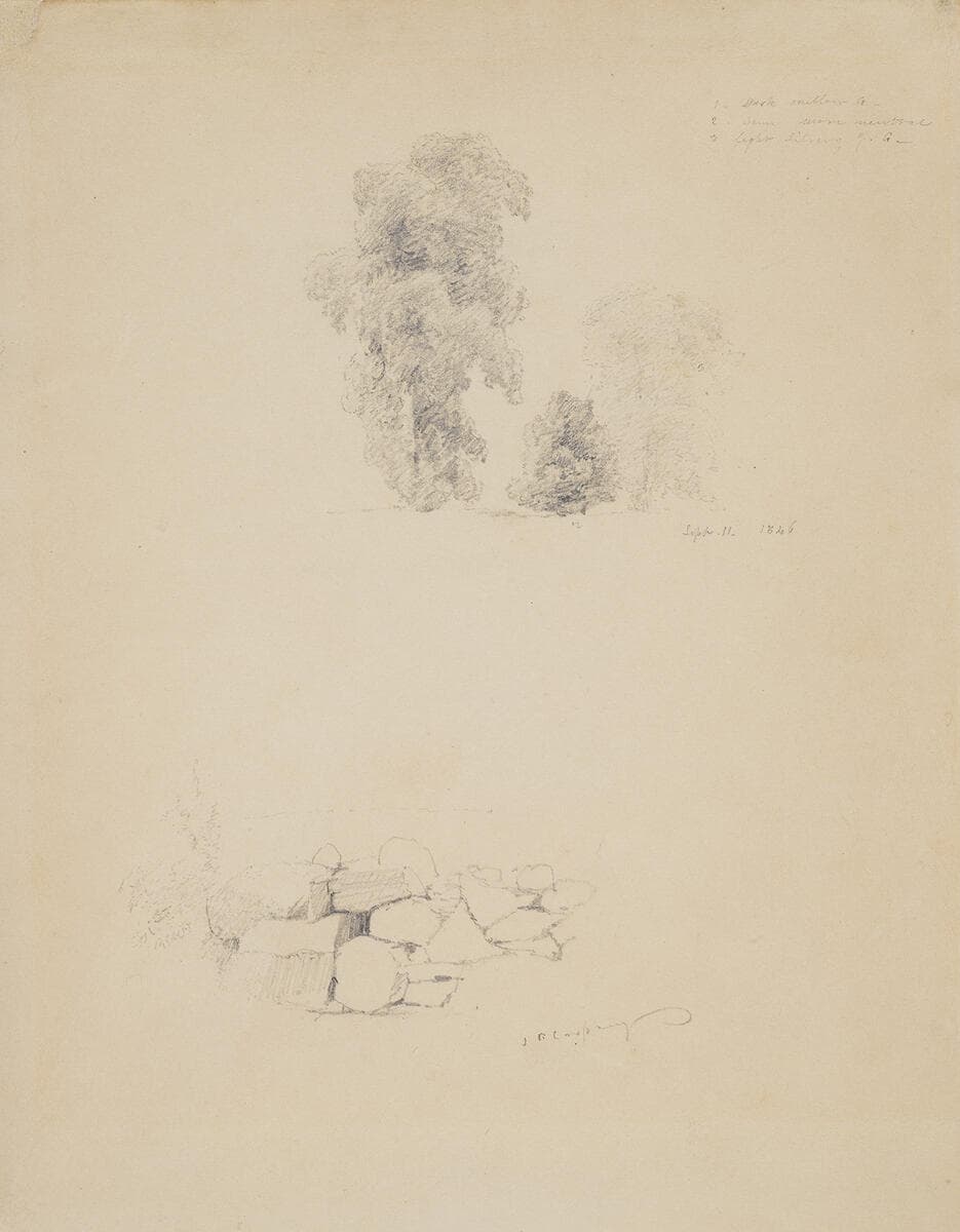 Tree and Stonewall Study