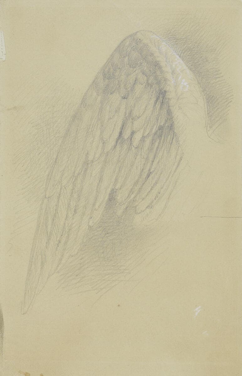 Study for Mercy's Dream