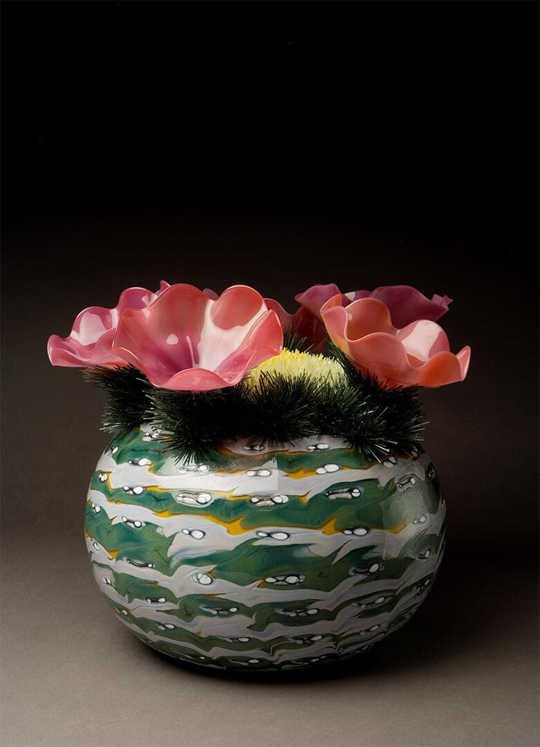 Cactus Serenus