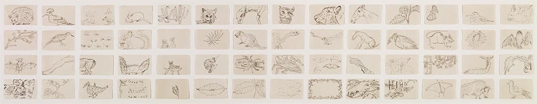 Untitled (Assorted Animals)