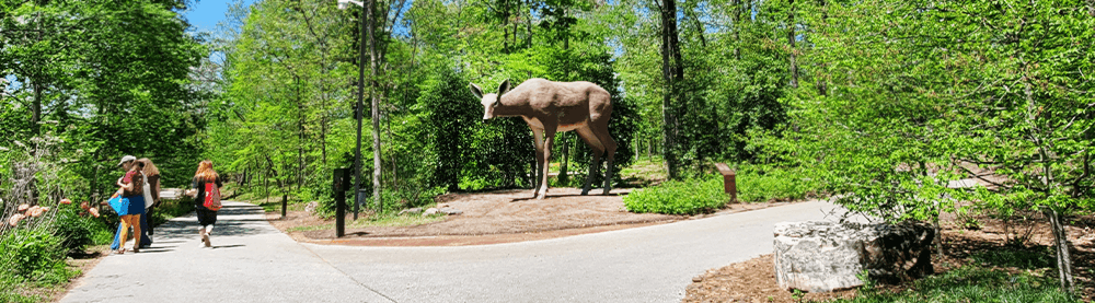 north forest trail - deer sculpture